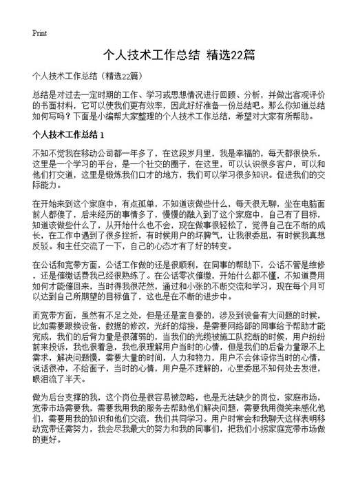 个人技术工作总结