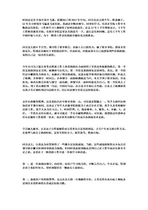 业务员半年总结免费下载