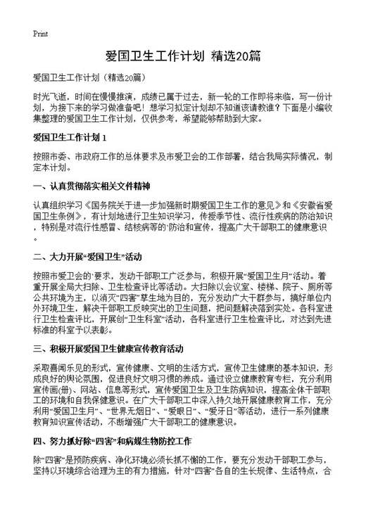 爱国卫生工作计划