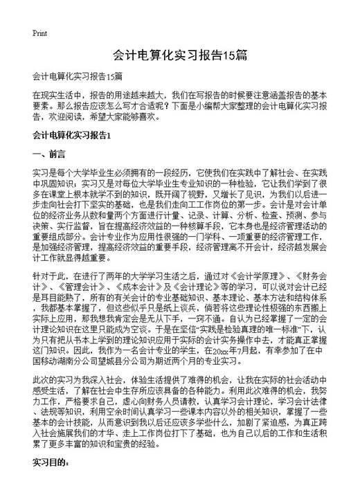 会计电算化实习报告