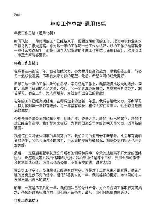 年度工作总结