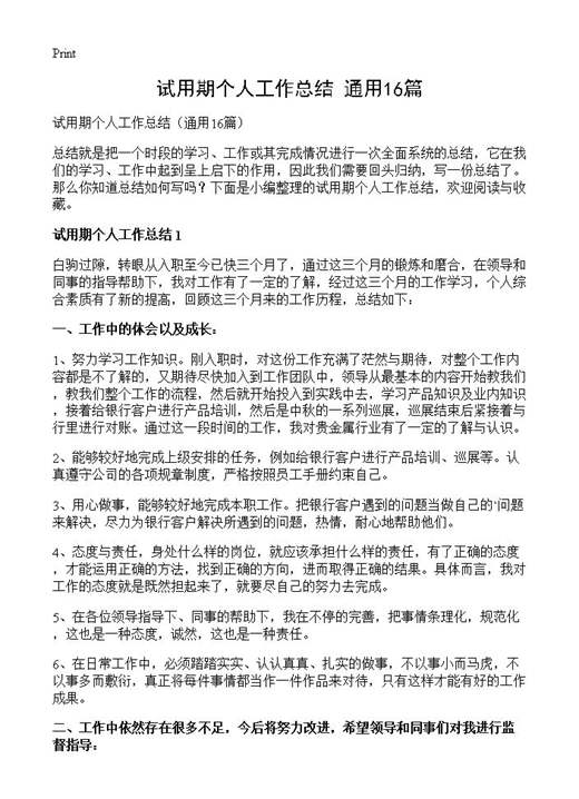 试用期个人工作总结