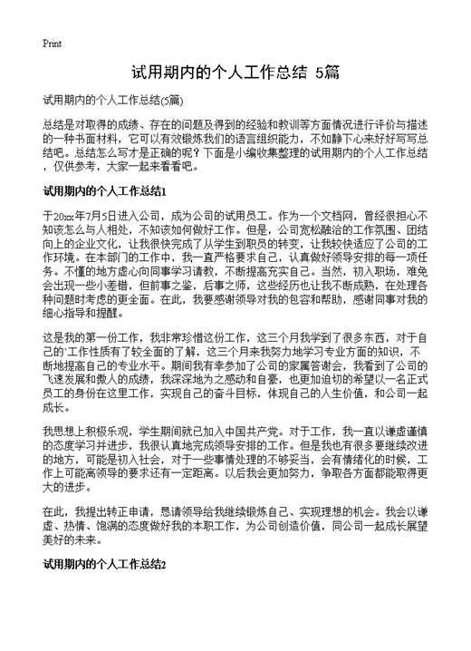 试用期内的个人工作总结
