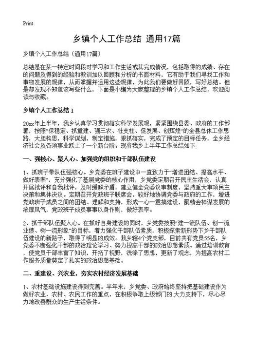 乡镇个人工作总结