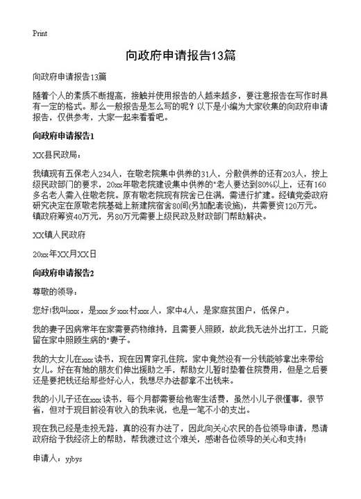 向政府申请报告