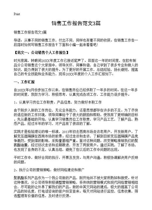 销售工作报告范文