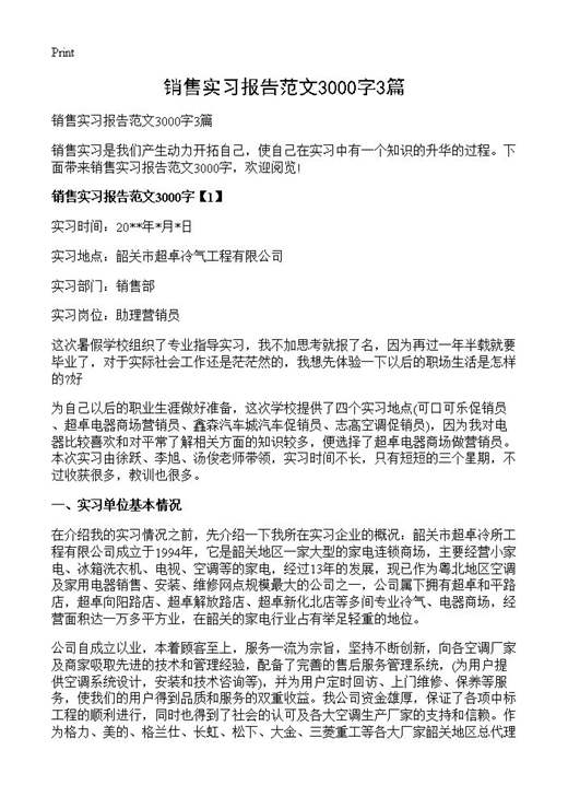 销售实习报告范文3000字