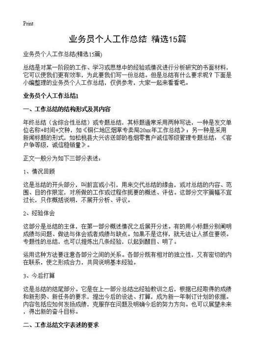 业务员个人工作总结