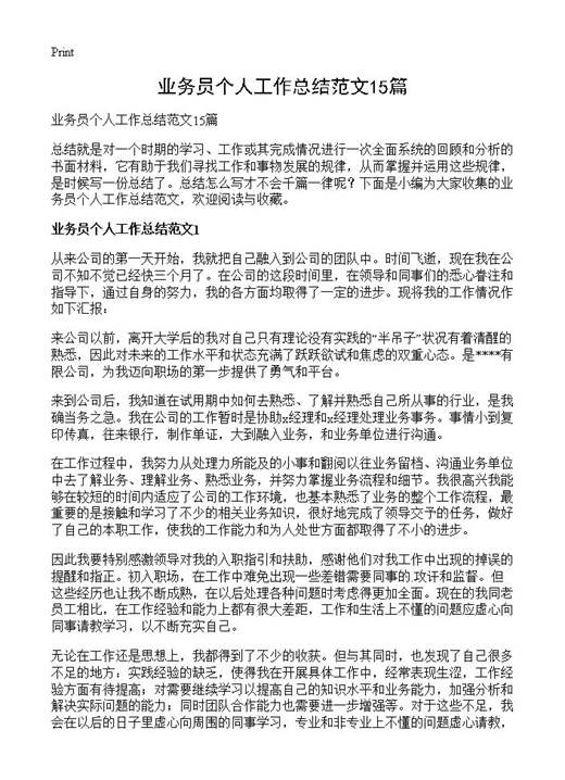 业务员个人工作总结范文