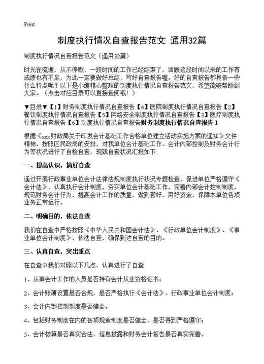 制度执行情况自查报告范文