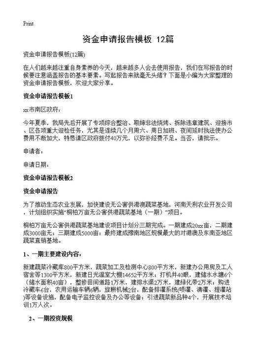 资金申请报告模板