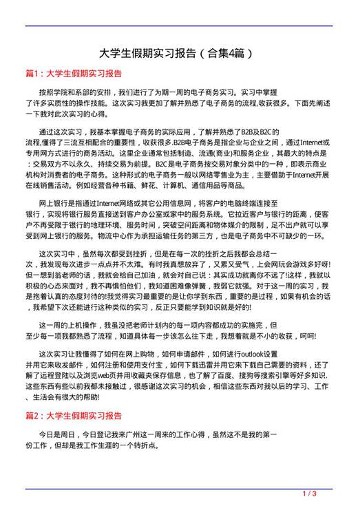 大学生假期实习报告
