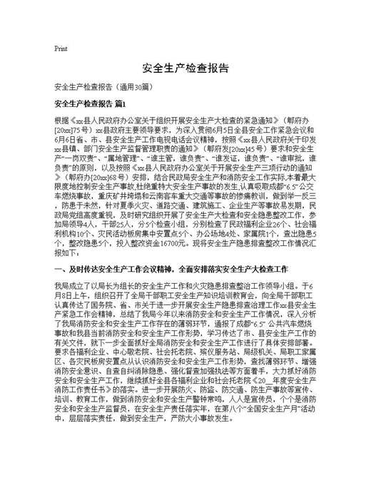 安全生产检查报告