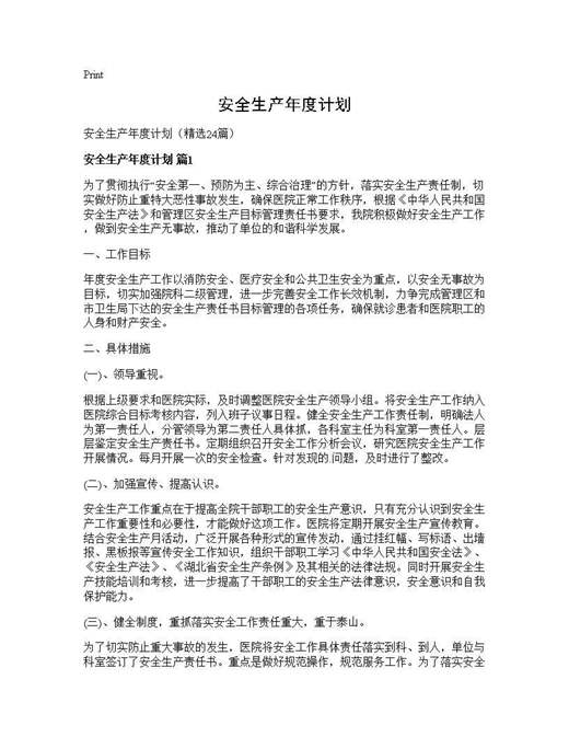 安全生产年度计划