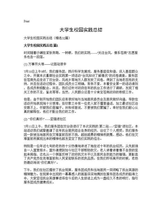 大学生校园实践总结