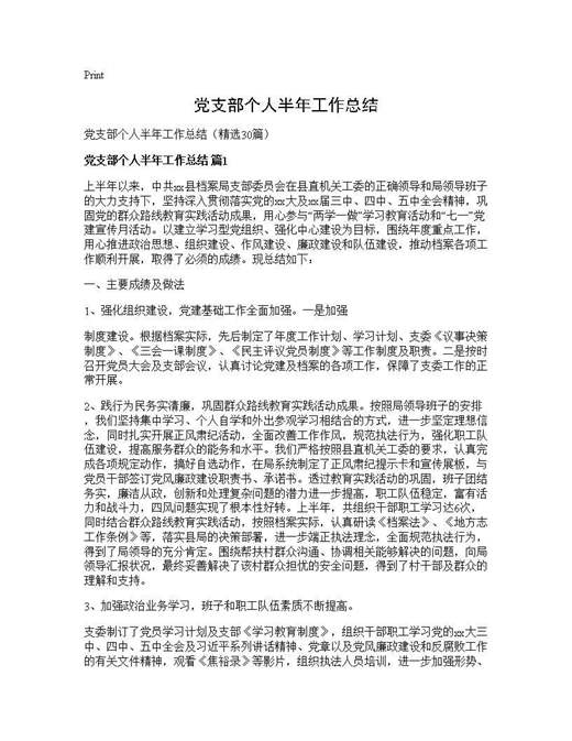 党支部个人半年工作总结