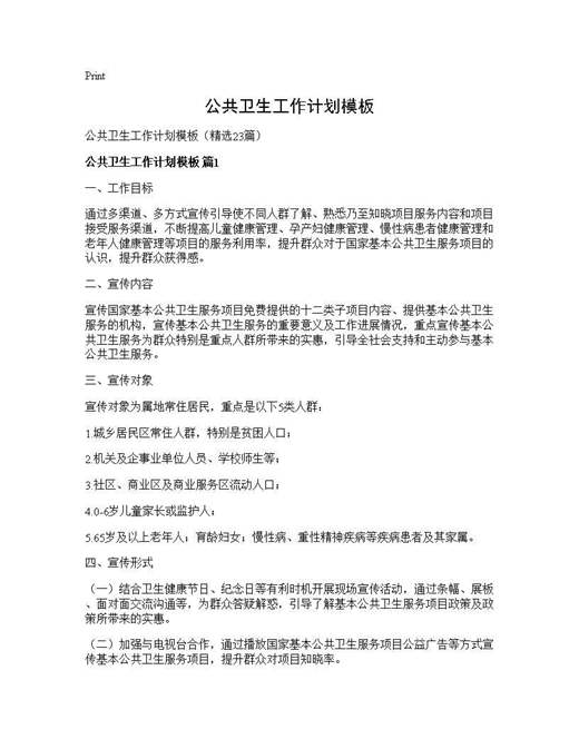 公共卫生工作计划模板
