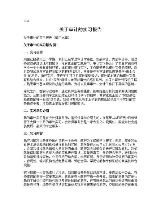 关于审计的实习报告