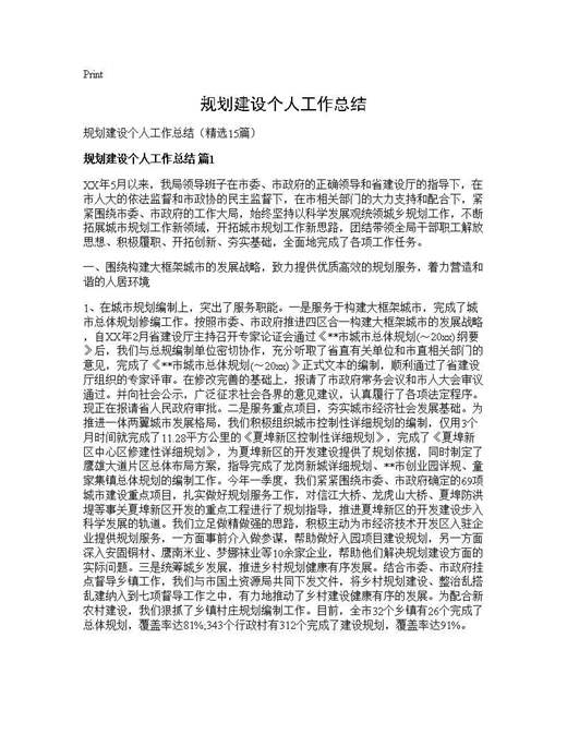 规划建设个人工作总结