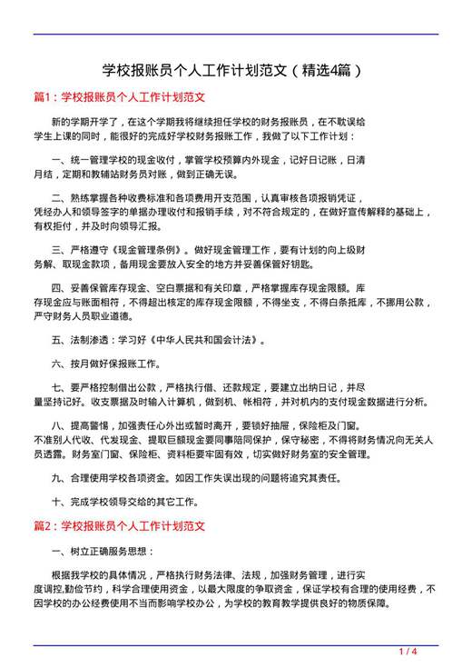 学校报账员个人工作计划范文