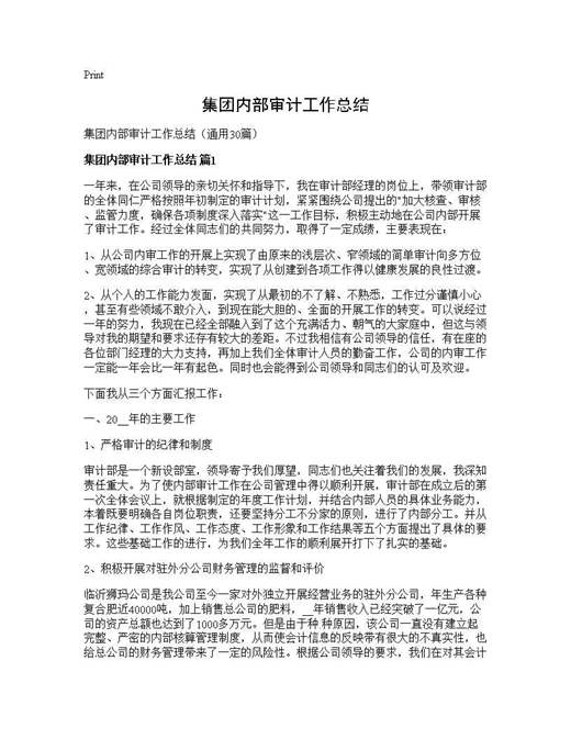 集团内部审计工作总结