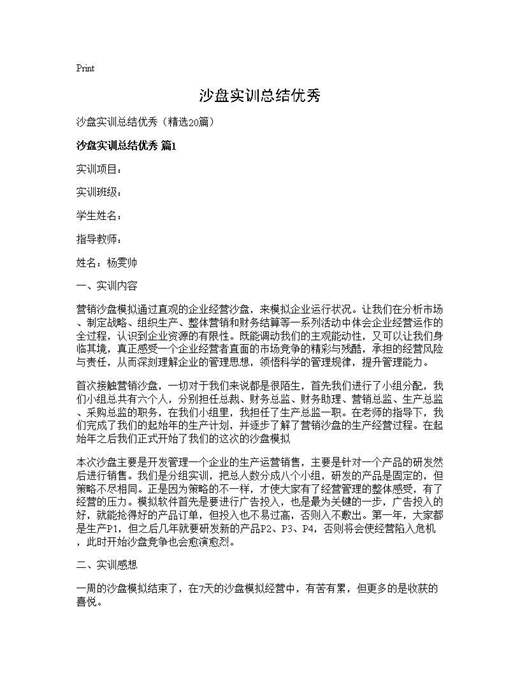 沙盘实训总结优秀