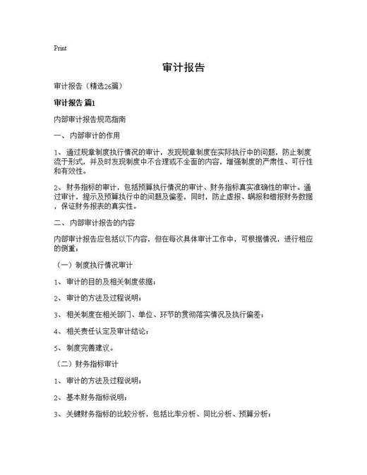 审计报告
