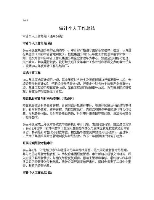 审计个人工作总结