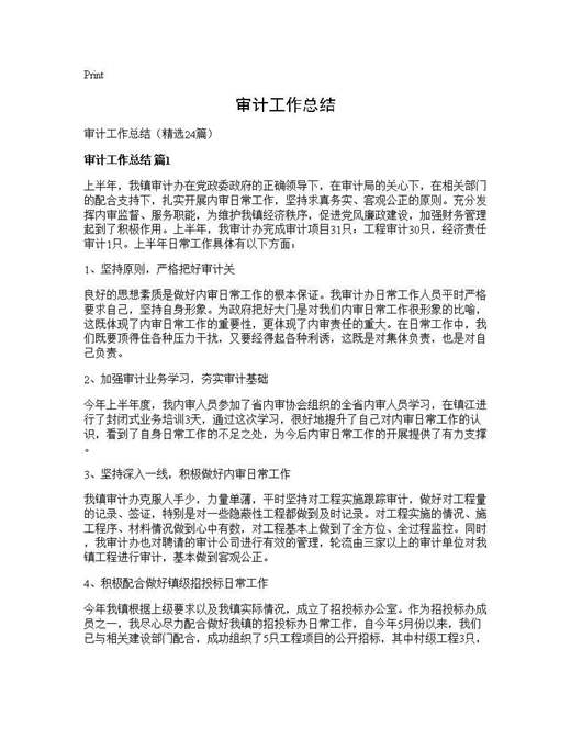 审计工作总结
