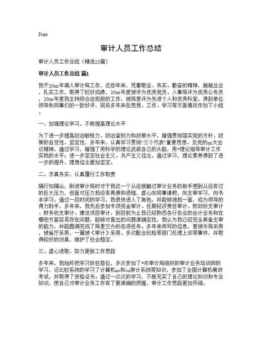 审计人员工作总结
