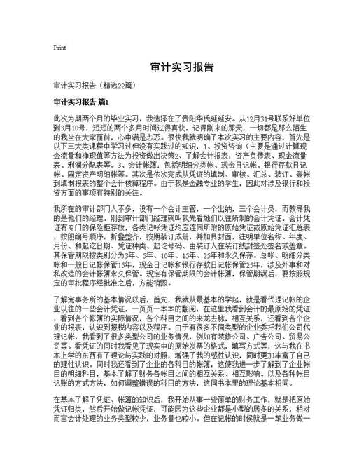 审计实习报告
