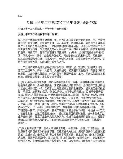 乡镇上半年工作总结和下半年计划(通用)