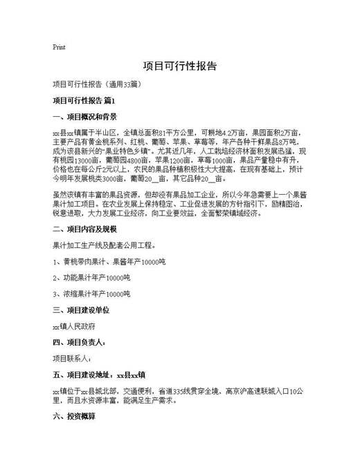 项目可行性报告