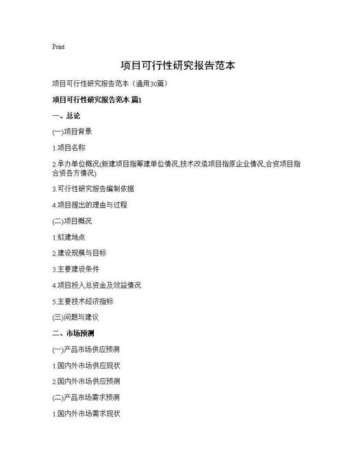 项目可行性研究报告范本