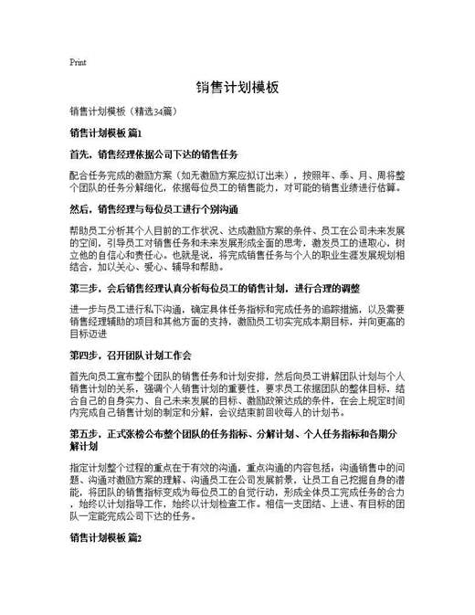销售计划模板