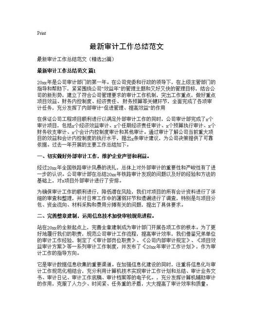 最新审计工作总结范文