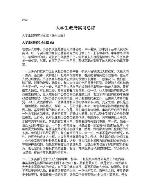 大学生政府实习总结
