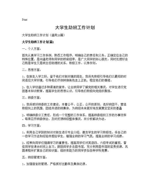 大学生助班工作计划