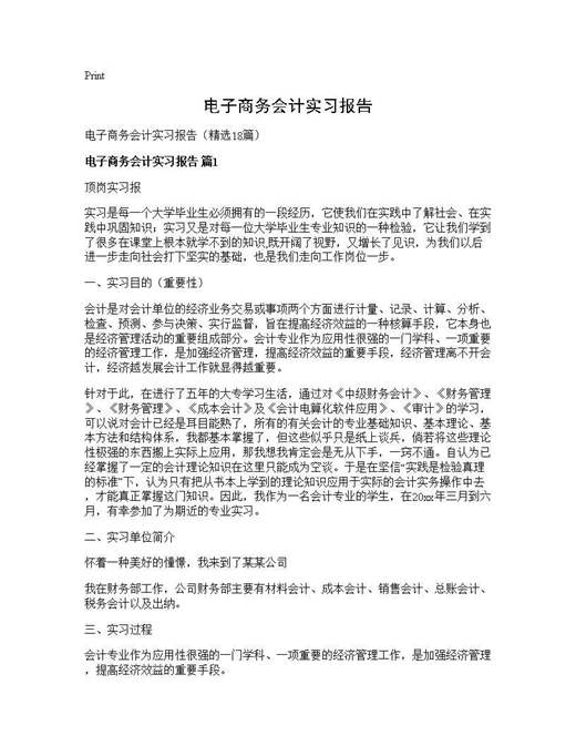 电子商务会计实习报告