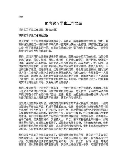 顶岗实习学生工作总结