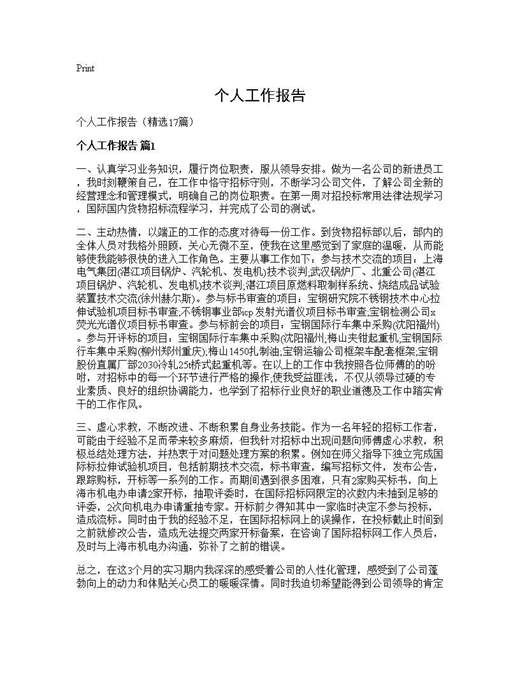 个人工作报告