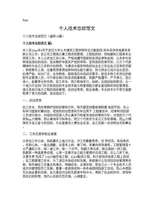 个人技术总结范文