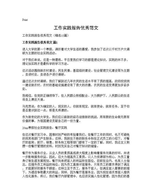 工作实践报告优秀范文