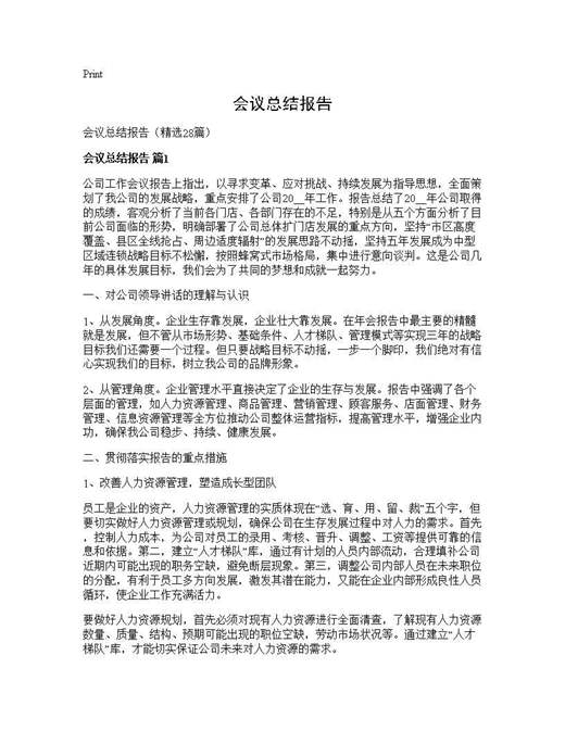 会议总结报告