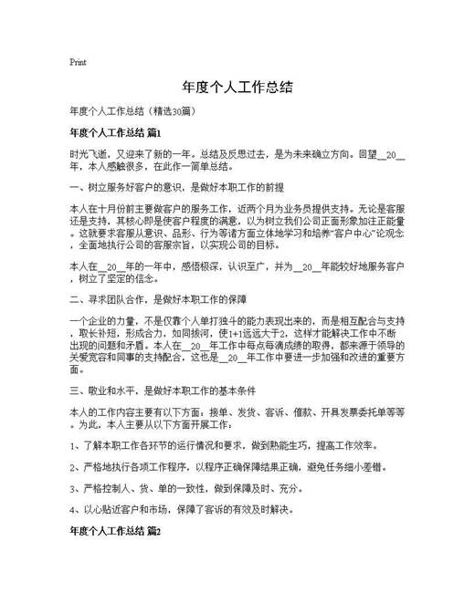 年度个人工作总结