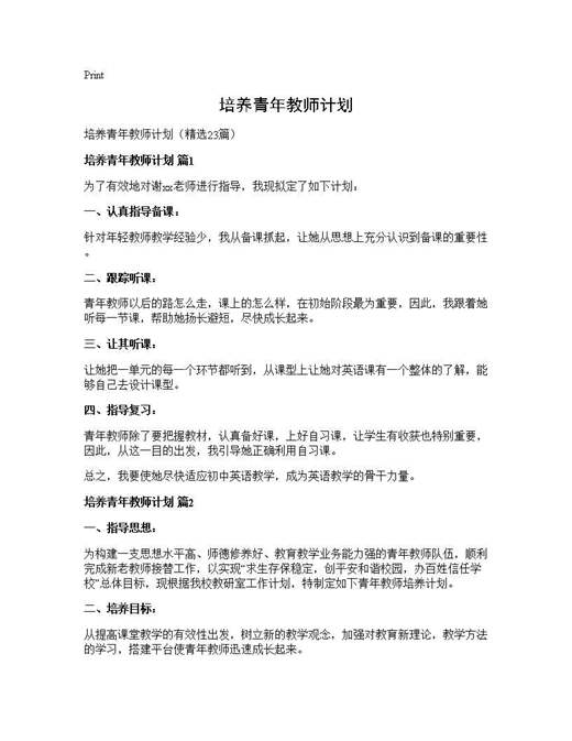 培养青年教师计划