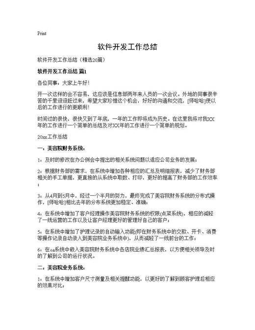 软件开发工作总结