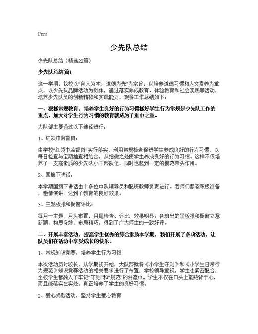 少先队总结