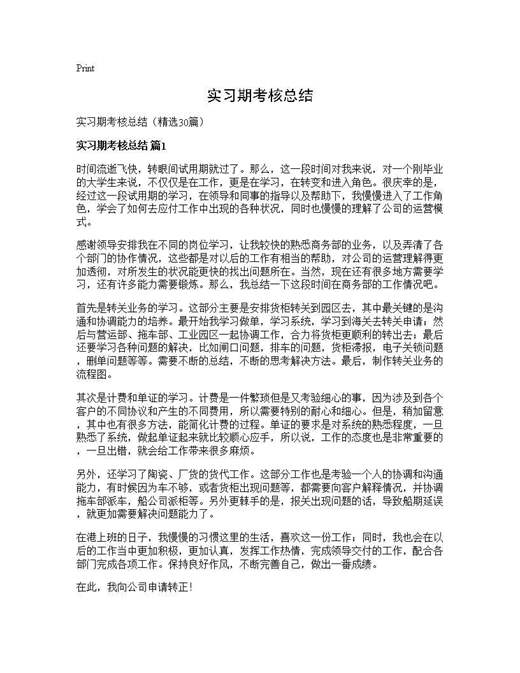 实习期考核总结