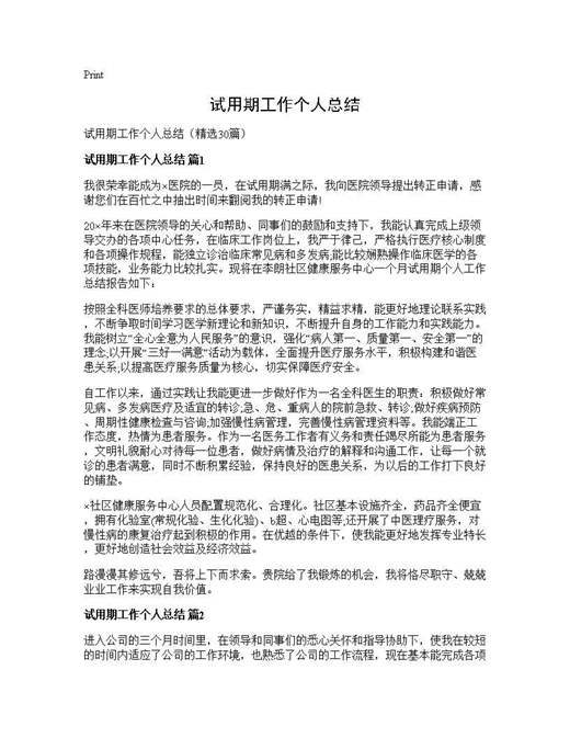 试用期工作个人总结